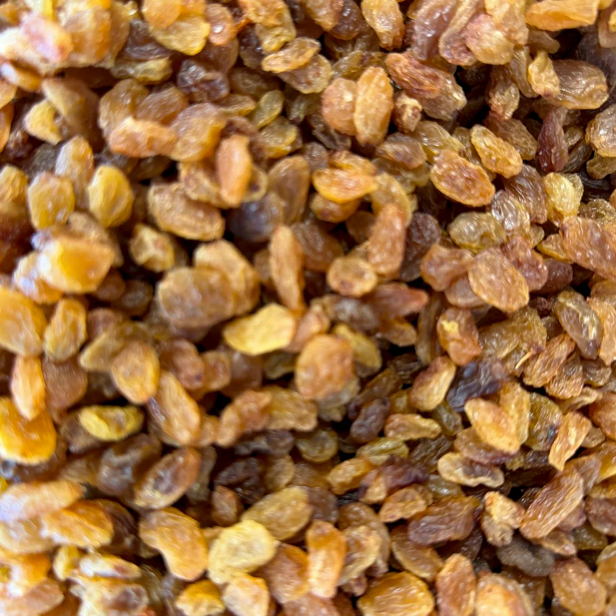 Çekirdeksiz Kuru Üzüm - 1