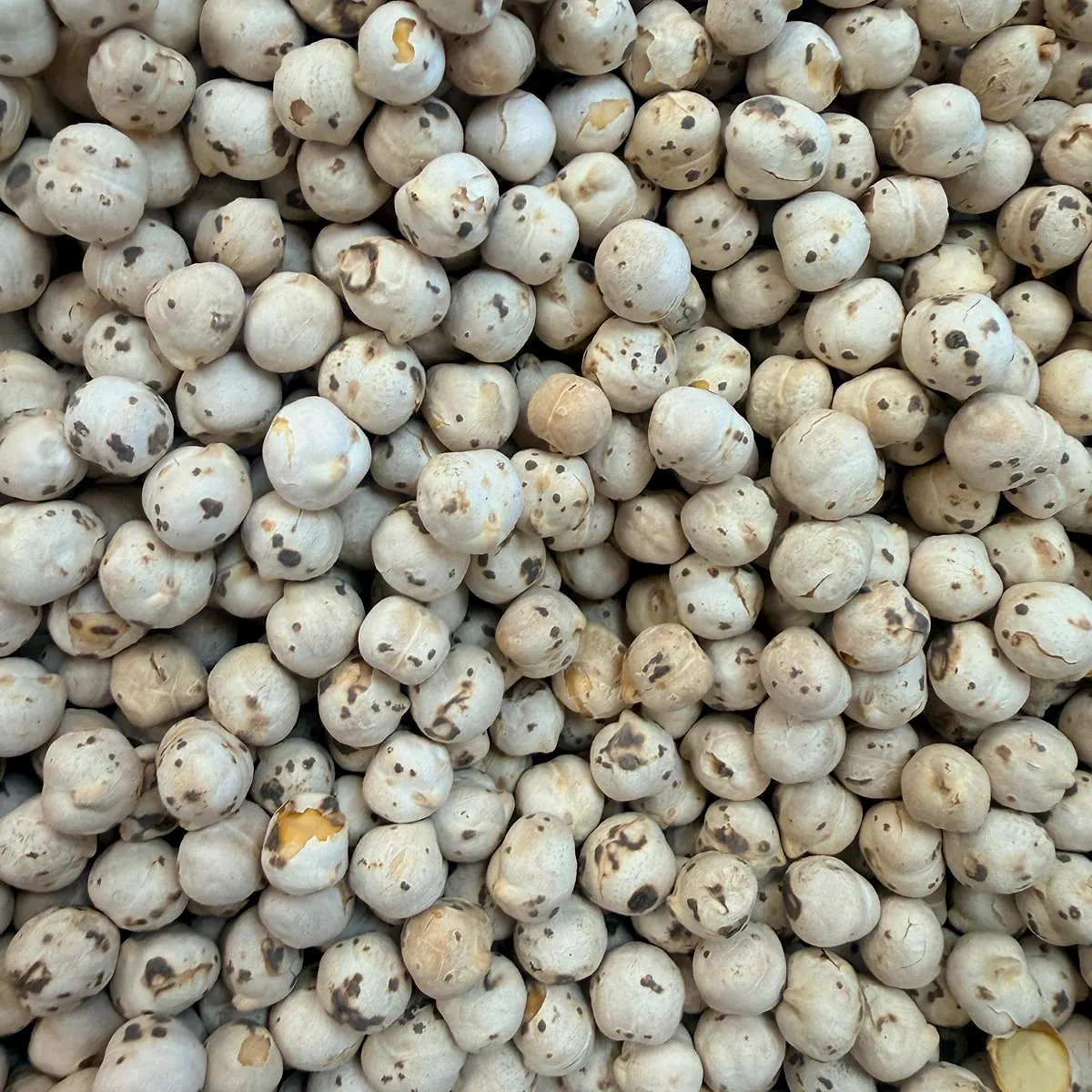 Köy Leblebisi